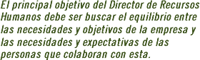 El principal objetivo del Director de Recursos Humanos debe ser buscar el equilibrio entre las necesidades y objetivos de la empresa y las necesidades y expectativas de las personas que colaboran con esta.